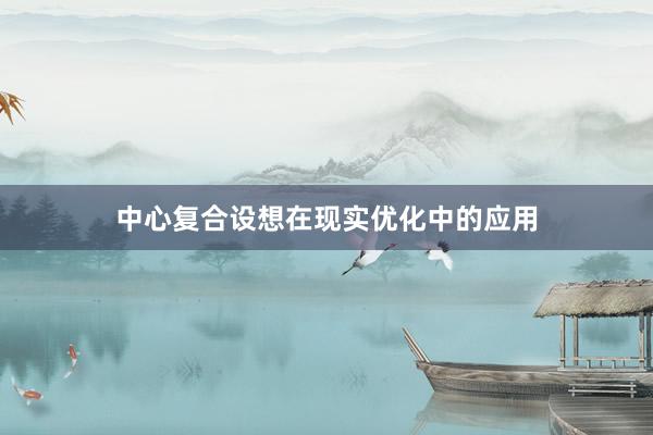 中心复合设想在现实优化中的应用
