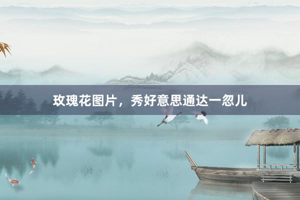 玫瑰花图片，秀好意思通达一忽儿