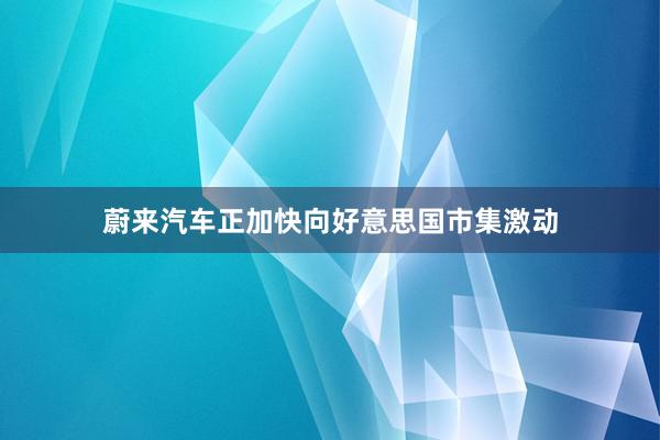 蔚来汽车正加快向好意思国市集激动