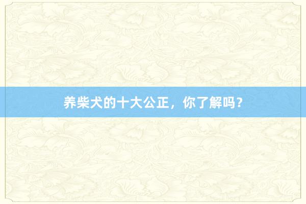 养柴犬的十大公正,你了解吗?