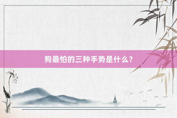 狗最怕的三种手势是什么？
