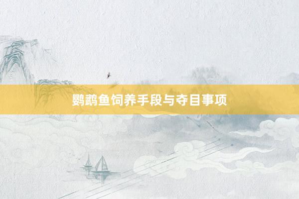 鹦鹉鱼饲养手段与夺目事项