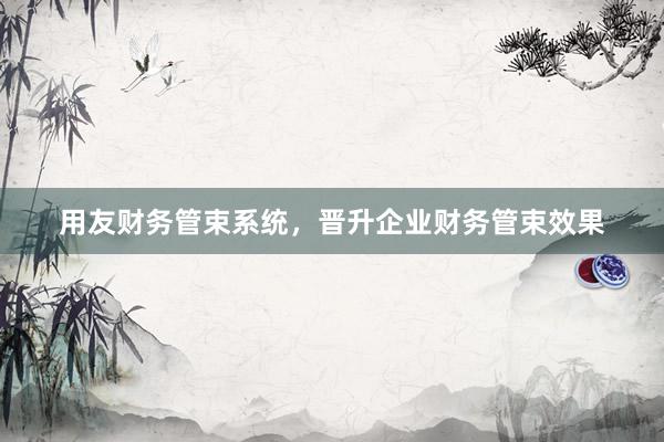 用友财务管束系统,晋升企业财务管束效果